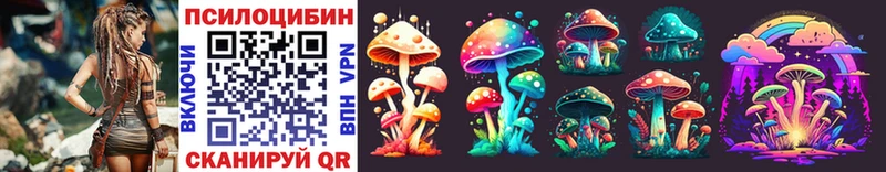 Псилоцибиновые грибы Psilocybine cubensis Покровск